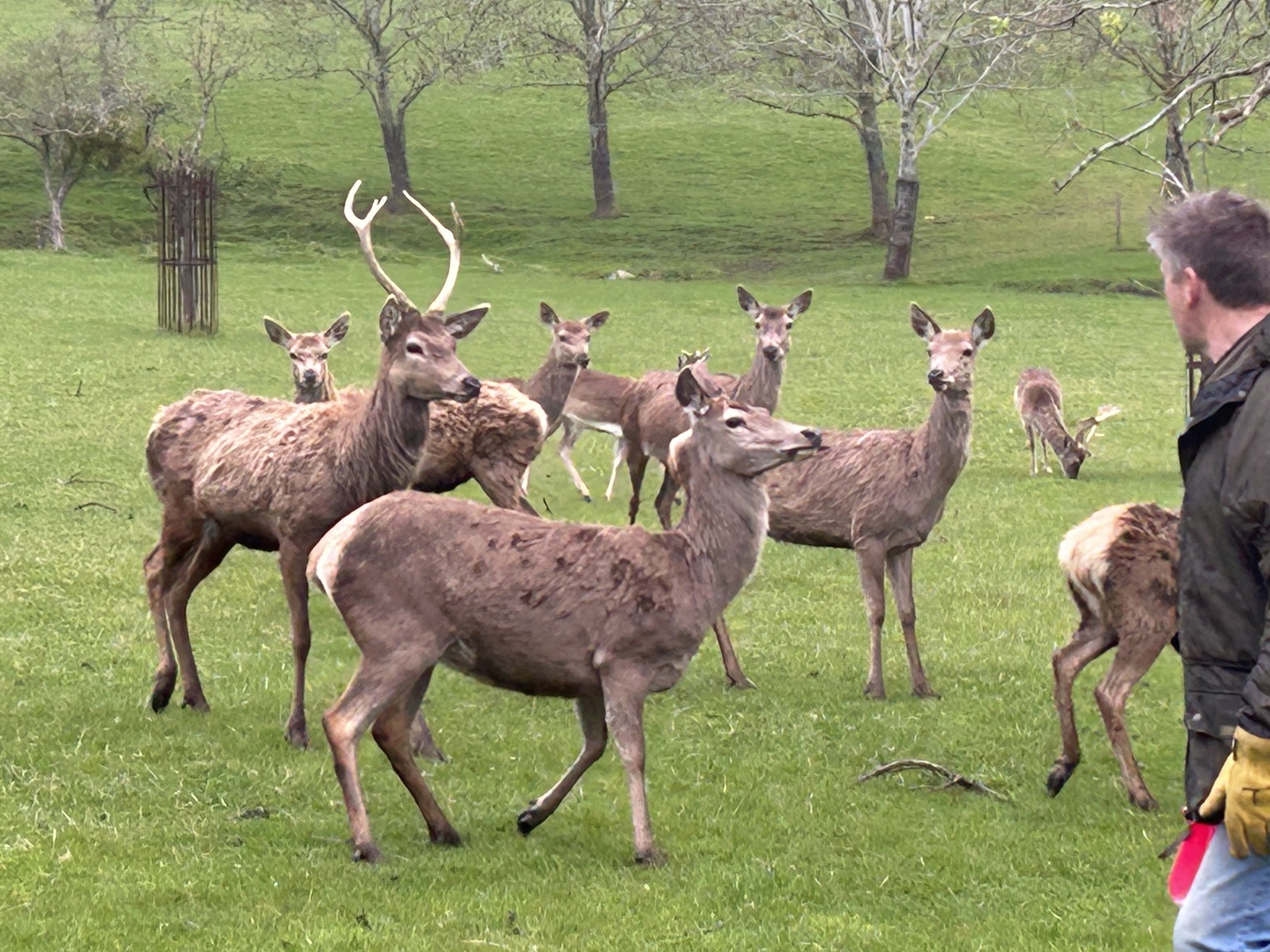 A whirlwind tour of The Vale of Evesham, Worcestershire