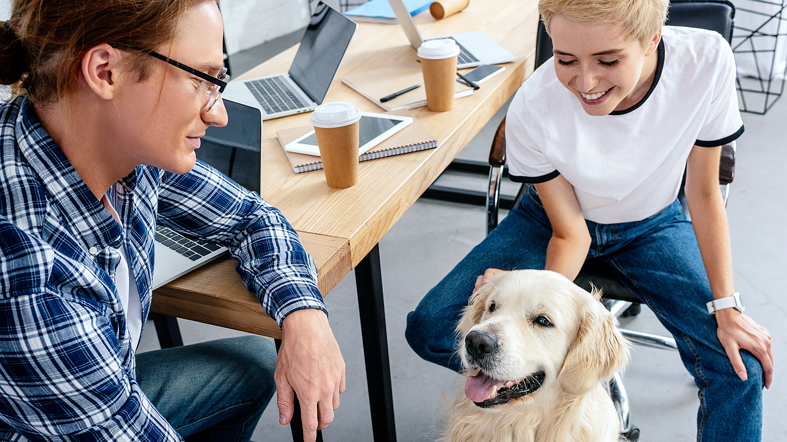 Pandemic pet boom has increased the demand for pet-friendly workplaces